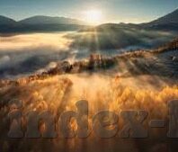 大象传媒视频网站直播-大象传媒，视频网站直播的革新者