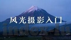 大象甸园小视频-探索大象的智慧王国，大象甸园小视频的奇妙之旅