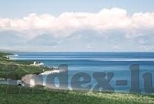 麻豆剧场av-麻豆剧场，光影流转的视听盛宴
