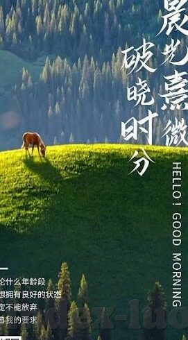 日韩av无码-日韩AV无码，文化、艺术与道德的边界探讨