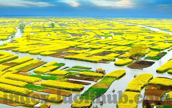 糖心app的下载-探索糖心app的便捷使用方式——安全、简单的下载指南