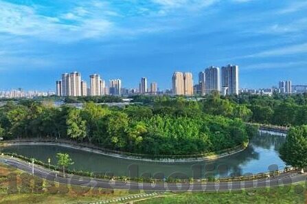 糖心app普通版-体验每日小确幸——糖心app普通版实用指南
