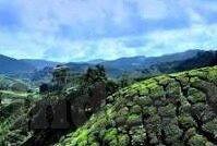 糖心vlog资源-一篇探秘日常甜蜜的旅程，品味糖心Vlog资源的魅力