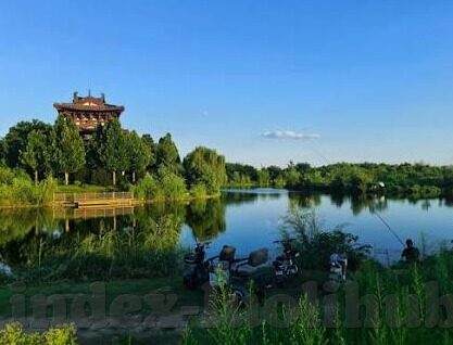 亚洲麻豆av一区二区-瞭望新视点，探索亚洲多媒体内容与文化交织的奇妙空间